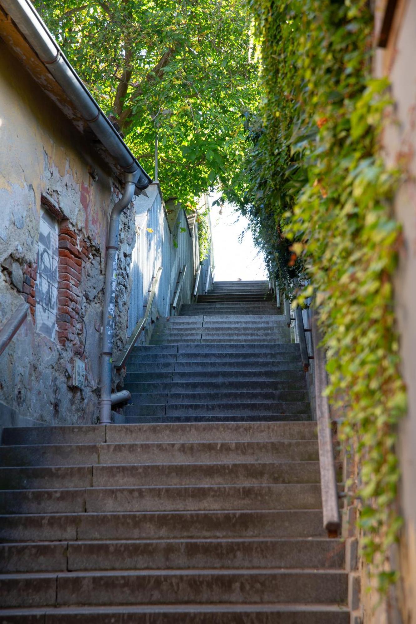Rezidence Plesivec - Rodinny Apartman S 3 Loznicemi Český Krumlov المظهر الخارجي الصورة